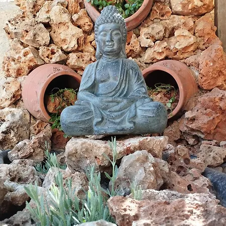 Chania Youth * La Canea